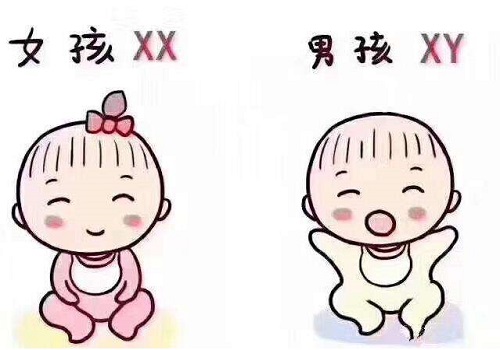 试管婴儿为什么多？详细流程又是怎样？